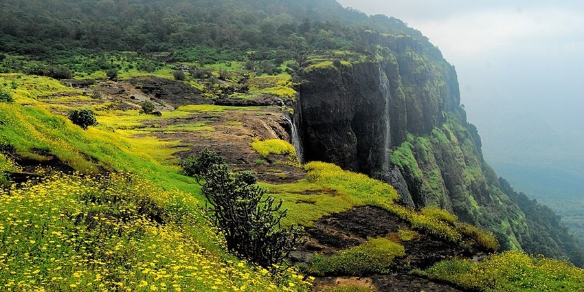 A picture of a beautiful edge of a cliff with greenery and trees all around