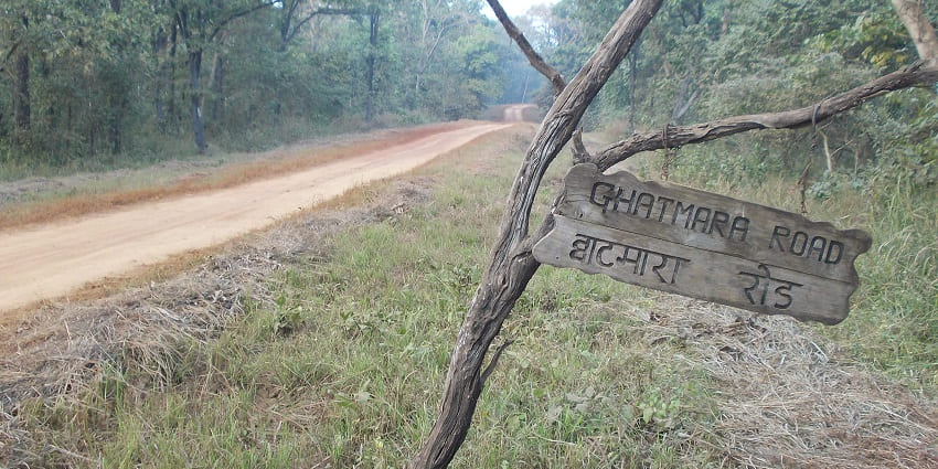 A picture of Nagzira Wildlife Sanctuary that offers one of the best peaceful jungle safaris.