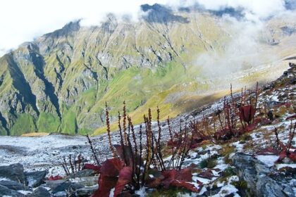 Image of Nanda Devi Biosphere Reserve - The pristine Nanda Devi National Park