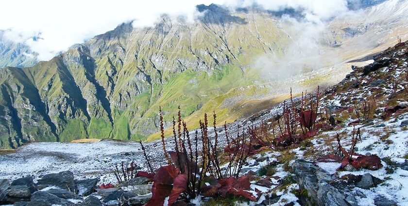 Image of Nanda Devi Biosphere Reserve - The pristine Nanda Devi National Park