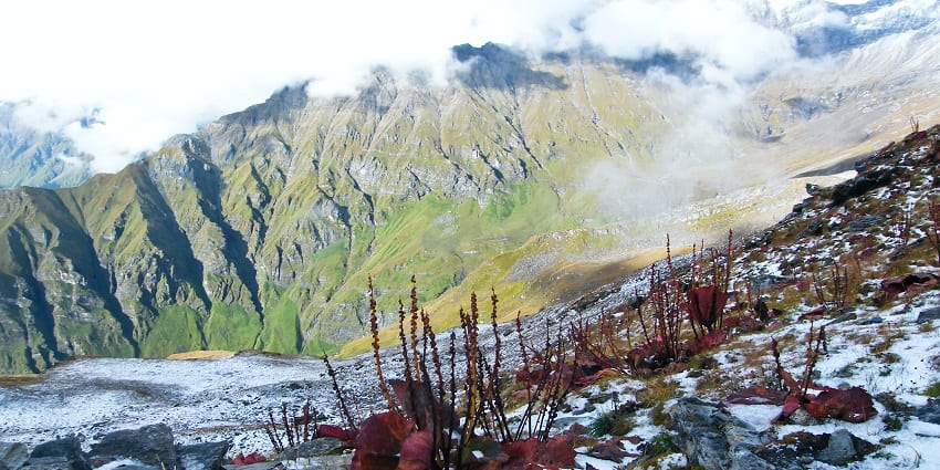 A picture of a green mountain near Trishul Peak, on the way to Roopkund