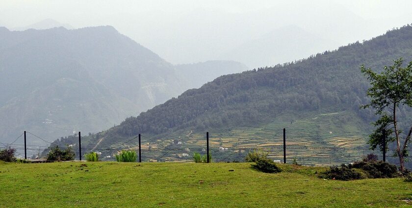 Himalayan peaks surrounding Nanda Devi Wildlife Sanctuary.