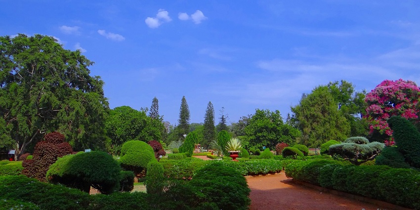 A picture of Narayan Bagh, a beautiful garden in Jhansi, perfect for nature lovers.