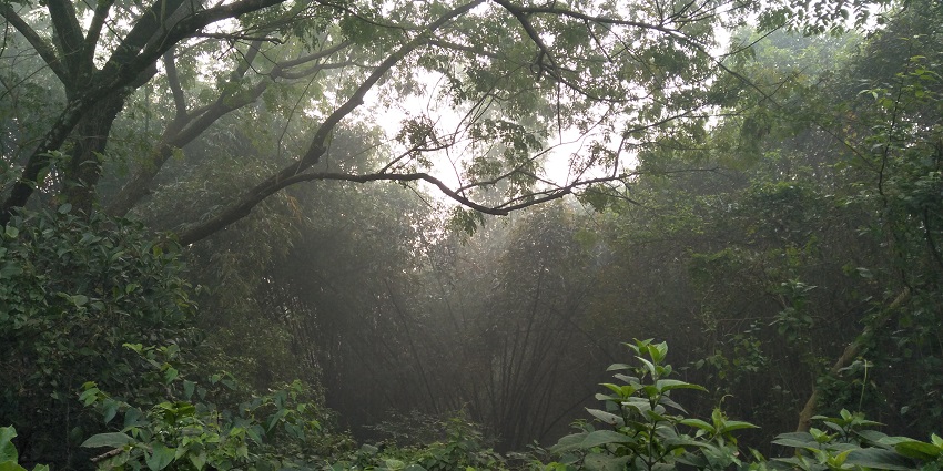 Camps organised at Narendrapur, a wildlife sanctuary in West Bengal.