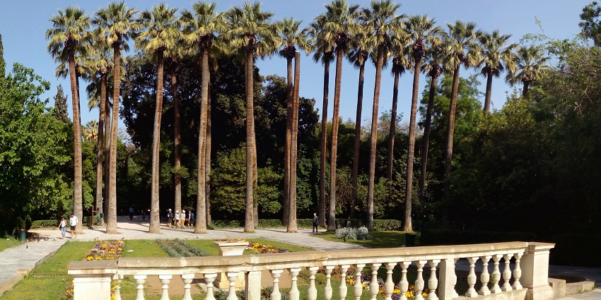 National gardens of Athens with tall palm trees, people visiting, surrounded by greenery.