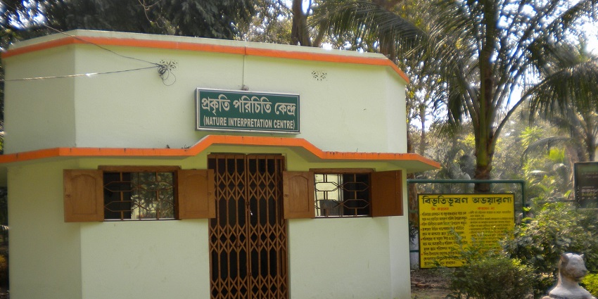 Nature Interpretation Center, a forest museum built for educating people