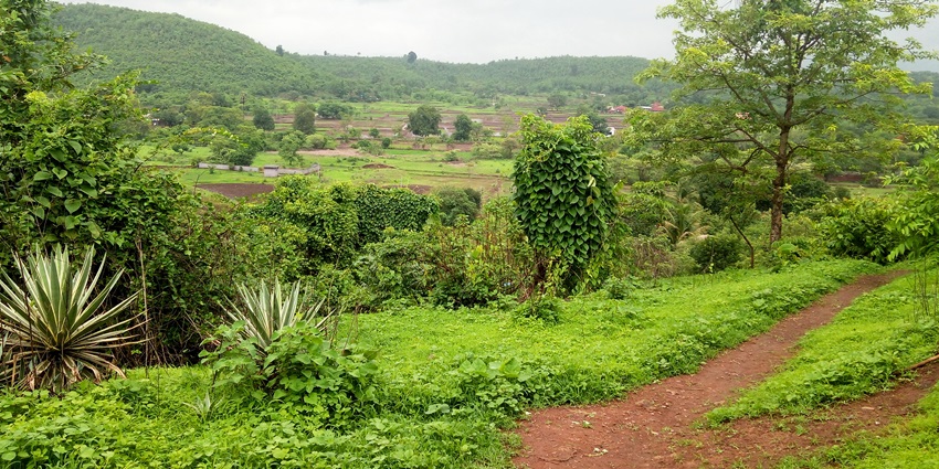 Lush green landscape at the Vajreshwari Temple, a revered temple in Maharashtra.