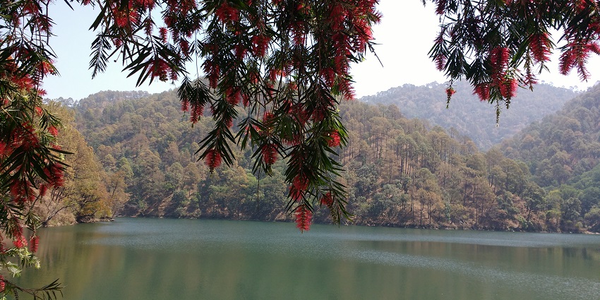 A view of Naukuchiatal Lake in Uttarakhand, India, surrounded by green hills and blue skies.