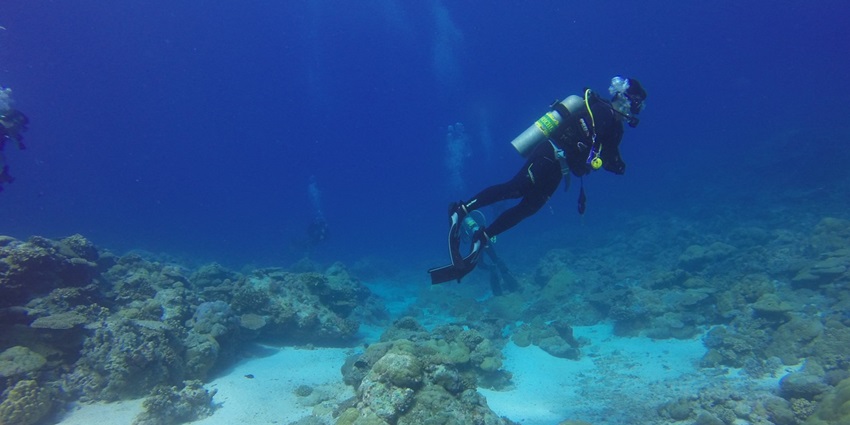 A view of Scuba diving in Mumbai, crystal-clear waters, and a peaceful underwater world.