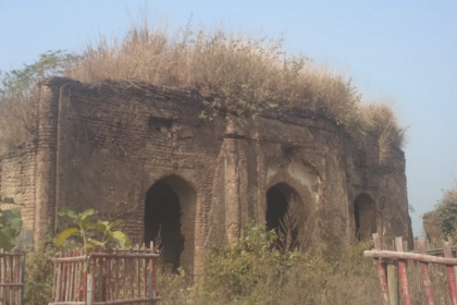 Ancient ruins of Navratna Garh fort.