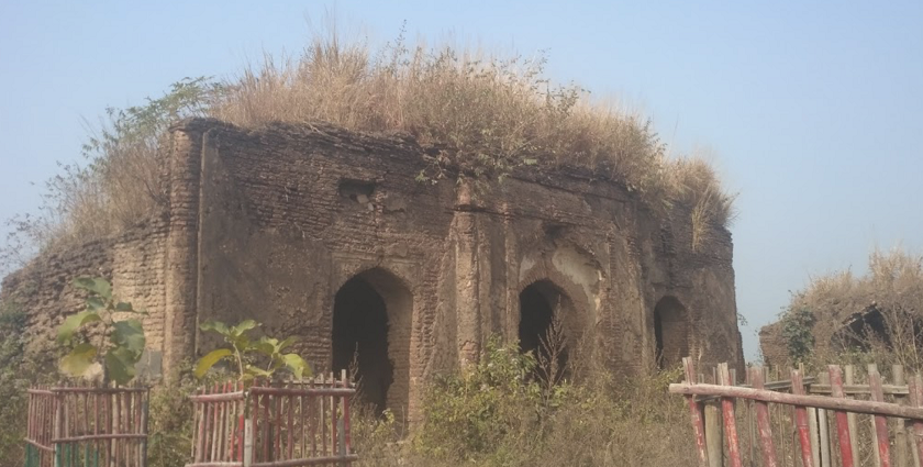 Ancient ruins of Navratna Garh fort.