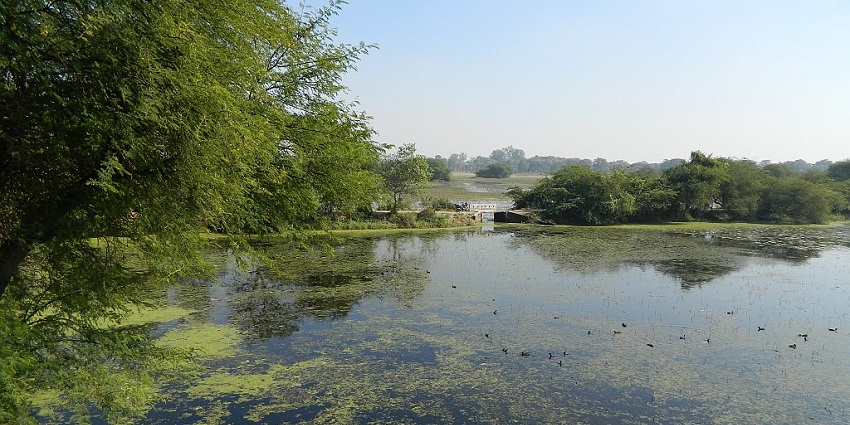 Beautiful lake showing a peaceful, reflective water body at Nawabganj Bird Sanctuary.