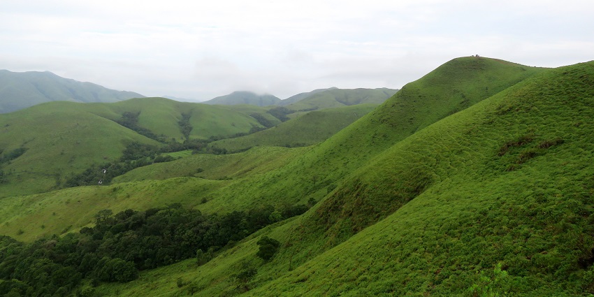 Nelyadi Betta, the serene hiking spot with stunning Western Ghats views