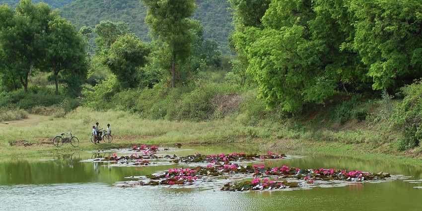 Nilgiri Biosphere Nature Park is one of popular places to visit around Black Thunder Water Theme Park