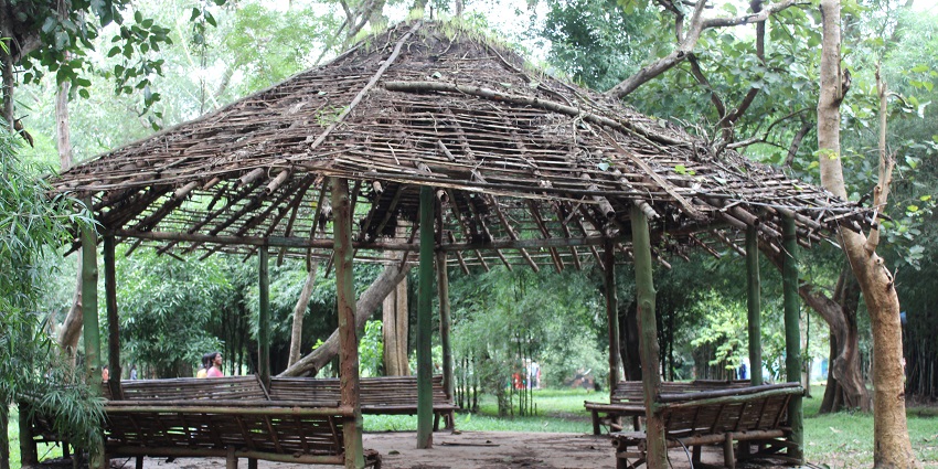 Witnessing greenery at Nisargadhama, among the places to visit near Coorg, is an experience.