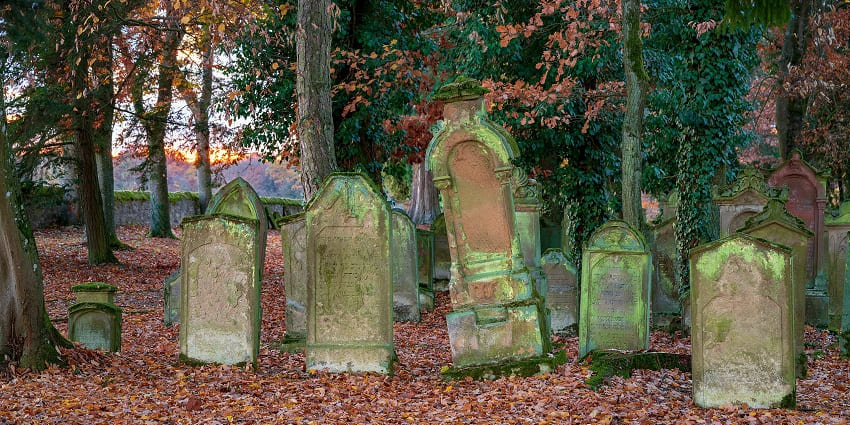 A picture of a graveyard during autumn, with leaves and flowers scattered around graves