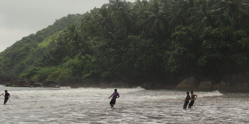 An image view of many divers exploring rock formations at Nivati Beach in Malvan