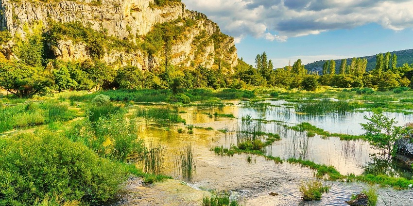 A picture of the serene Noyyal River, which is a peaceful spot for nature walks.