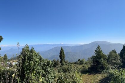 A picture taken at a mountain filled with lush greenery, capturing a scenic view