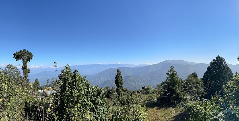 A picture taken at a mountain filled with lush greenery, capturing a scenic view