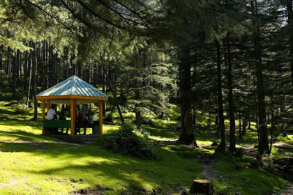 View of beautiful hills of Dhanaulti, one of the best offbeat places near Mussoorie