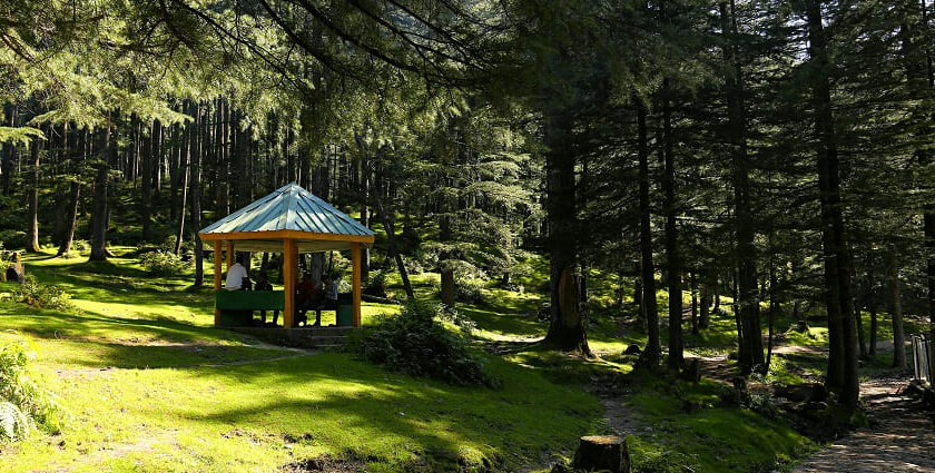 View of beautiful hills of Dhanaulti, one of the best offbeat places near Mussoorie