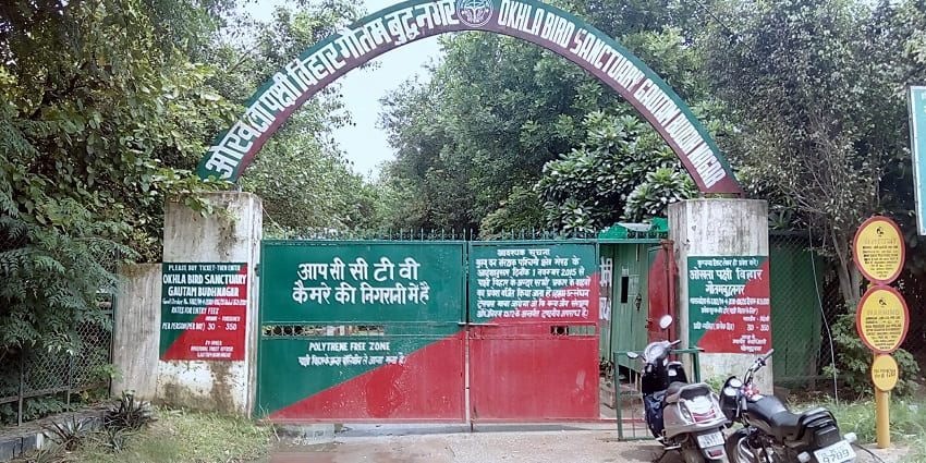 Okhla Bird Sanctuary is not just a birdwatcher's paradise, but also one of Noida’s haunted places
