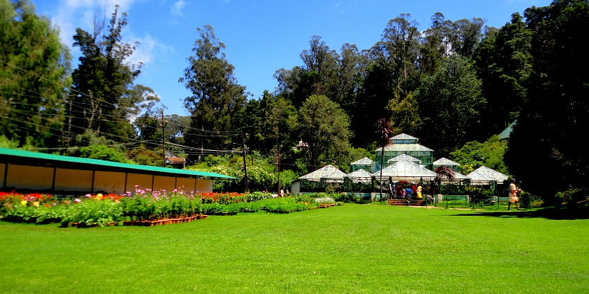 An image showing the view of Ooty Botanical Gardens, a famous place to visit.