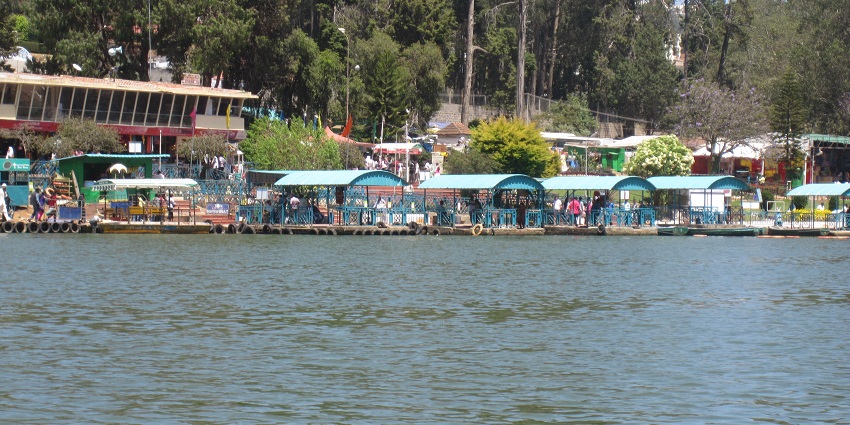 An image of trees surrounding Ooty Lake, one of the best tourist attractions in Tamil Nadu.