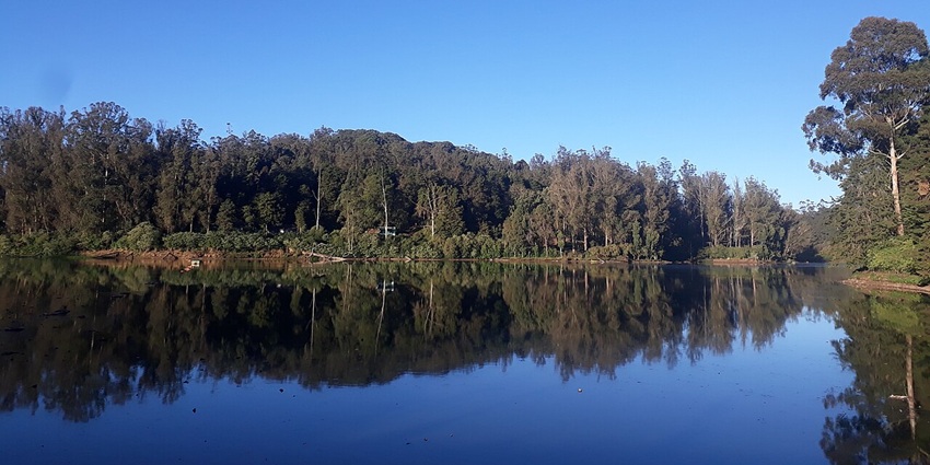 Boating activity at serene Ooty Lake, set amid misty hills and lush greenery