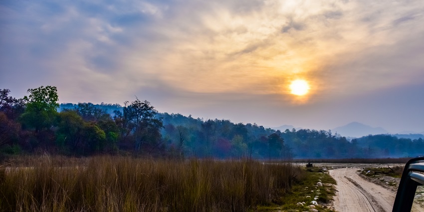 Image of Jeep Adventures in Safari at Chilla Wildlife Sanctuary