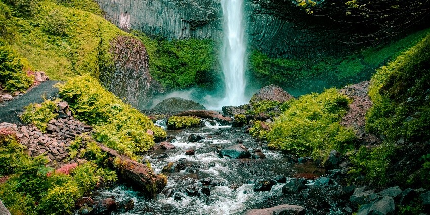 A long-exposure photograph capturing soft, cascading waterfalls in a green forest in Tamil Nadu.