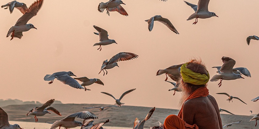 Birds flying over a beautiful ghat in Varanasi, creating a stunning sight.