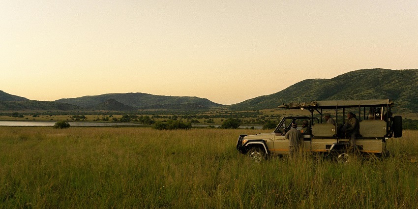 A picture of a jeep standing for Tadoba Jungle Safari in lush fields