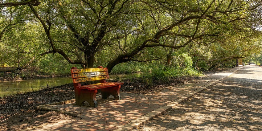 A picture of a bench at a wildlife sanctuary, with a tree keeping it under shade