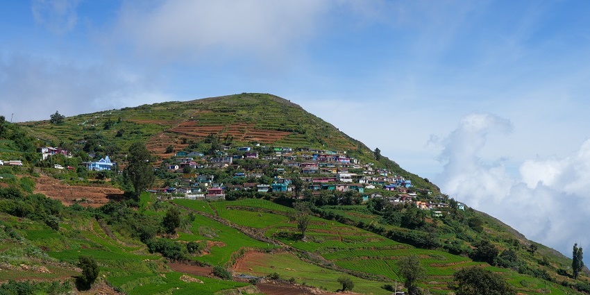 Village at the centre of the Alagarmalai in the Nilgiris hills dotted with trees.