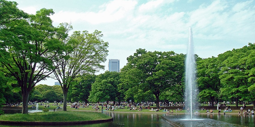 Image of the lush feilds of the park with a fountain in the center