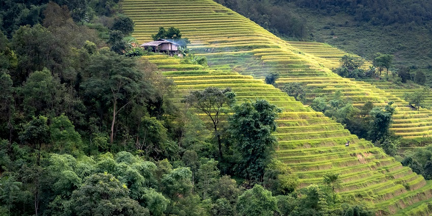 View of breathtaking terraced rice fields at the green Balamathi Hills