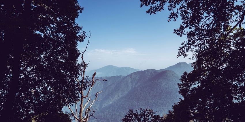 Charming village pangot in uttarakhand famous for birdwatching and lush green surrounding
