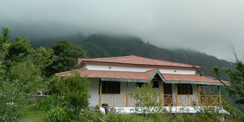 Kafal House in Pangot—a rustic cedar and oak‑surrounded cottage with valley views