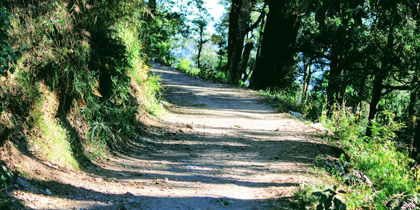 An image of a scenic view of Pangot with lush forests and Himalayan backdrop.