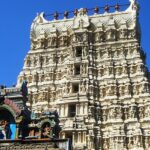 Top structure of the Papansam temple with its traditional Dravidian style architecture