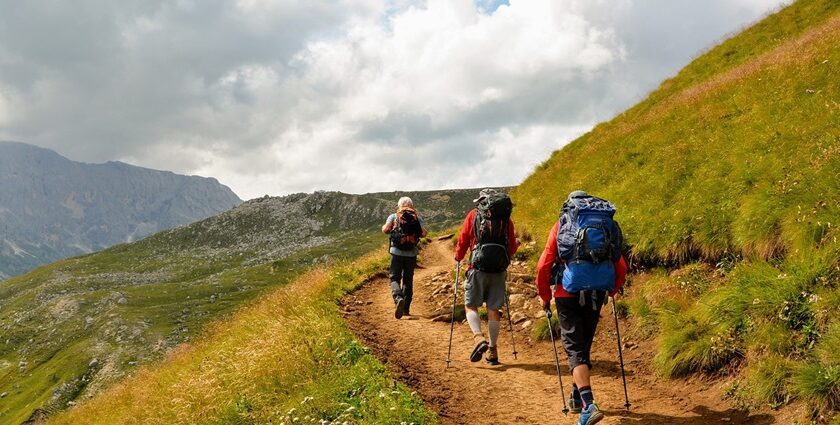 Parvathamalai Trek offers a challenging journey to the ancient temple with stunning views.