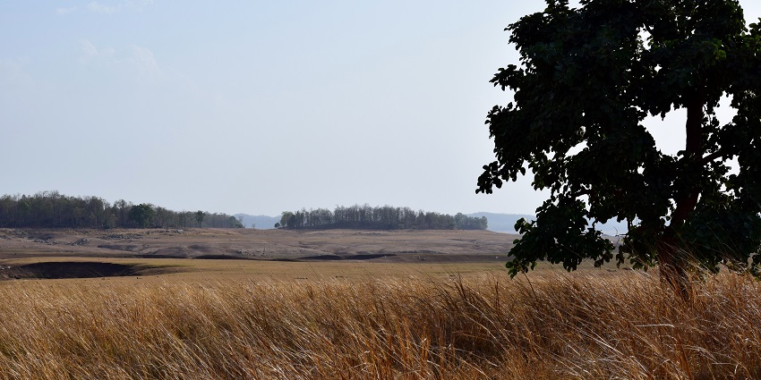 Pench National Park
