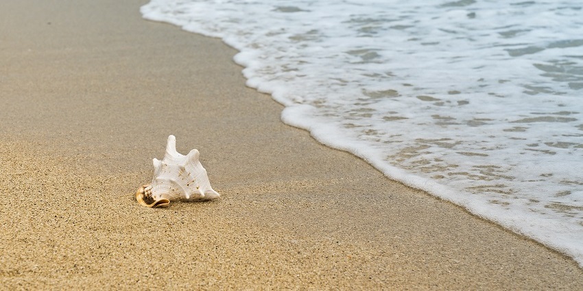 An image of Periyambalam Beach, ideal for those seeking the top 5 beaches near Coimbatore.