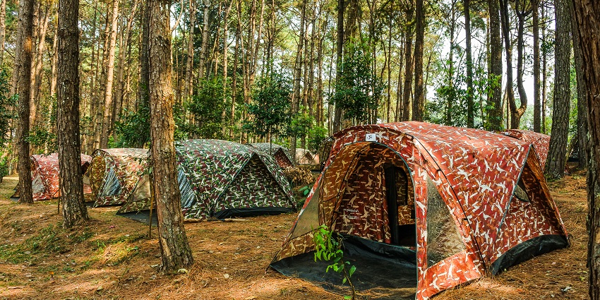 Phool Chatti Camp offers serene riverside camping amidst lush nature.