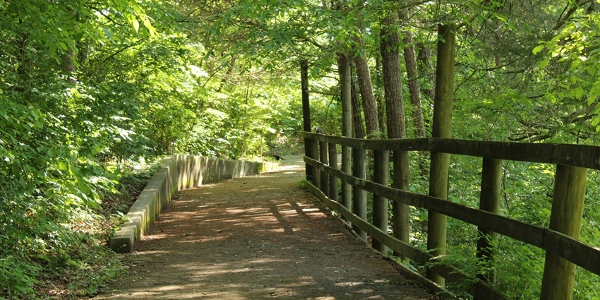 A glimpse of dense forests featuring rugged terrains and greenery apt for nature walks.