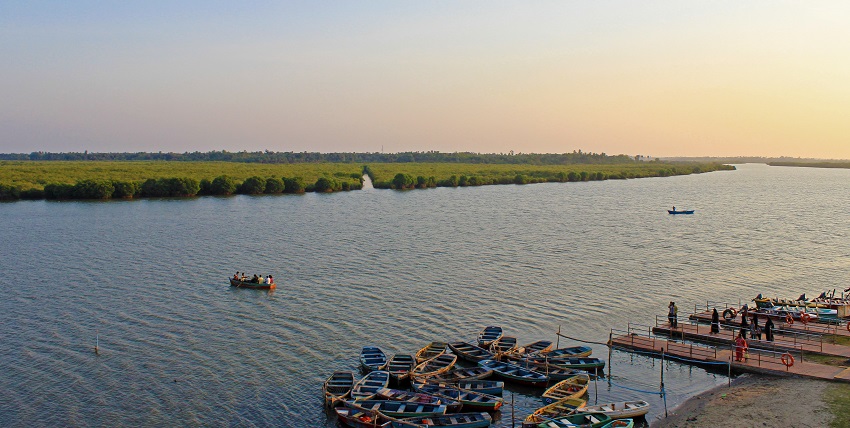 Pichavaram from a rooftop with the mangrove forest and boats parked near the water.