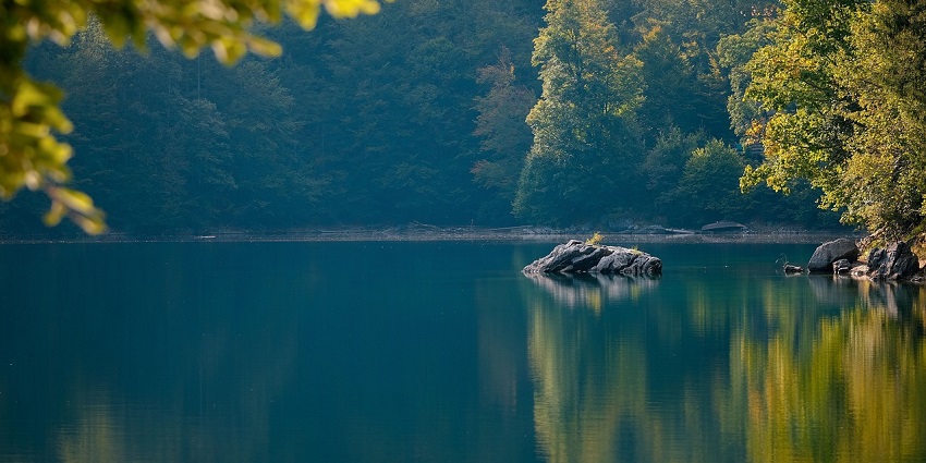 An image of a lake resembling the Nagarhole Lake, one of the best Things to see in Nagarhole.