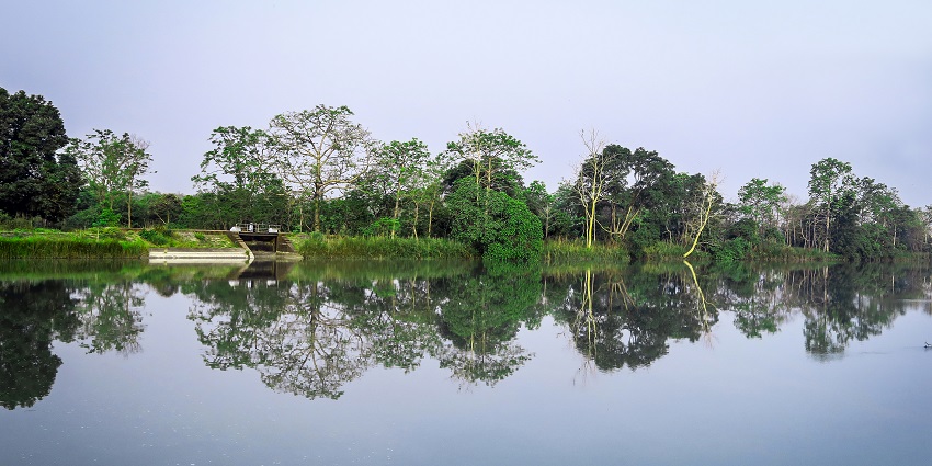 An image of a lake in Pilibhit Tiger Reserve, a popular wildlife sanctuary in Lucknow.